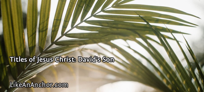 Titles of Jesus Christ: David’s&nbsp;Son