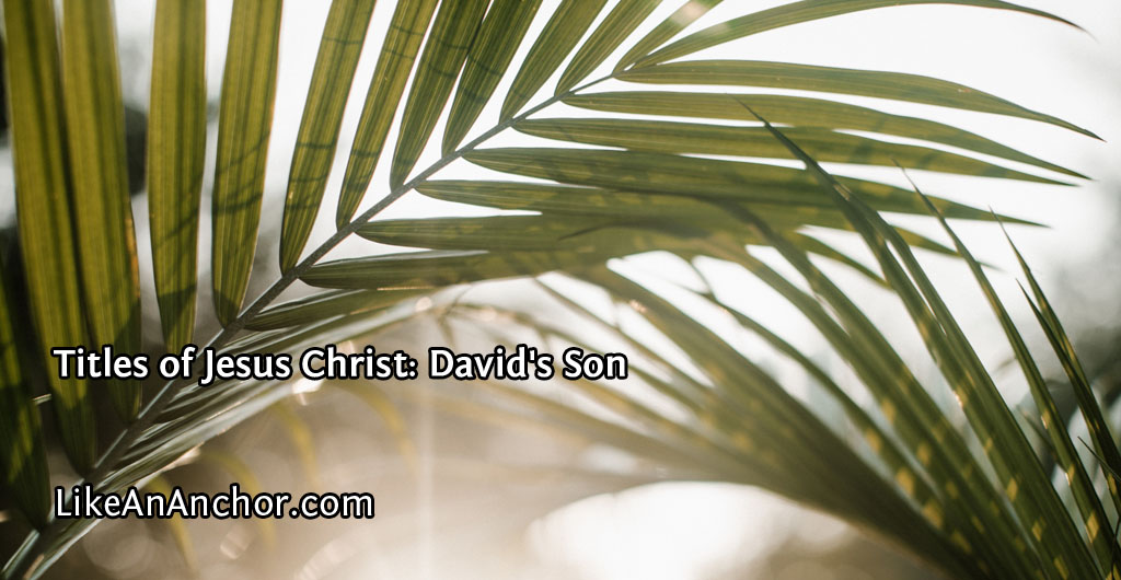 Titles of Jesus Christ: David's Son | LikeAnAnchor.com
