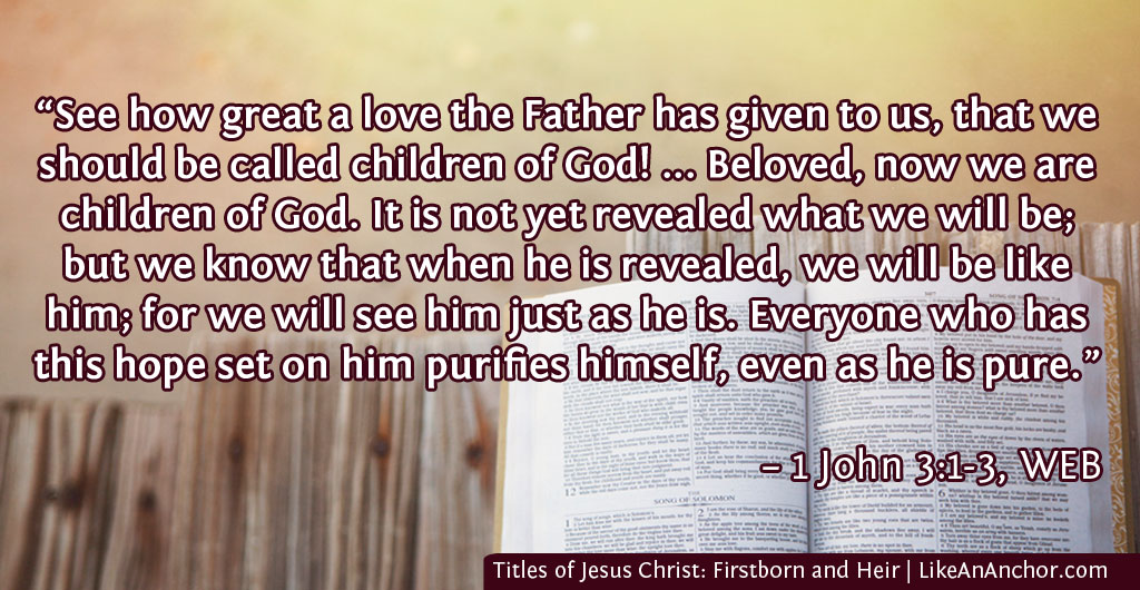 Titles of Jesus Christ: Firstborn and Heir | LikeAnAnchor.com