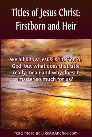 Titles of Jesus Christ: Firstborn and Heir | LikeAnAnchor.com