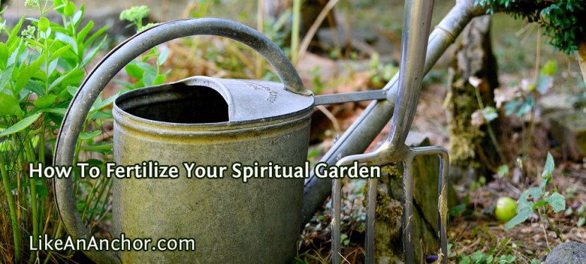 How To Fertilize Your Spiritual&nbsp;Garden