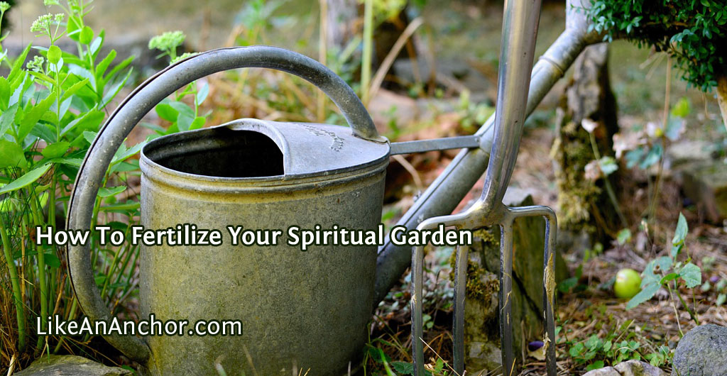 How To Fertilize Your Spiritual Garden