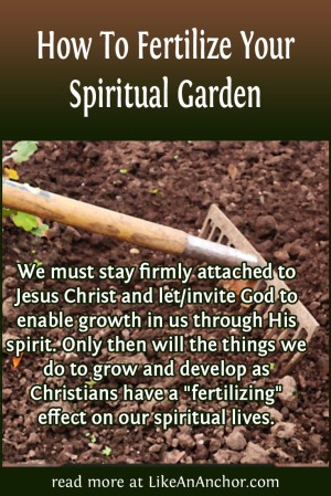 How To Fertilize Your Spiritual Garden
