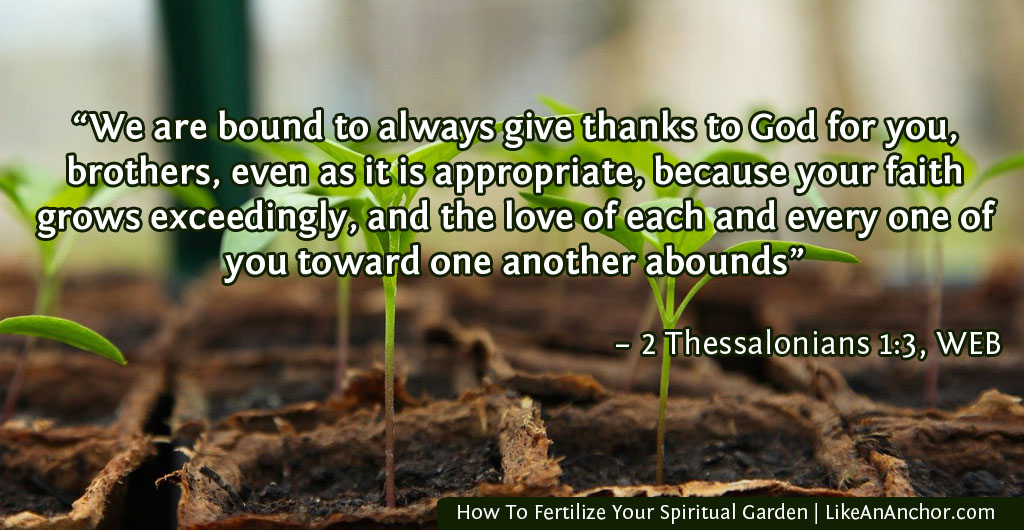 How To Fertilize Your Spiritual Garden