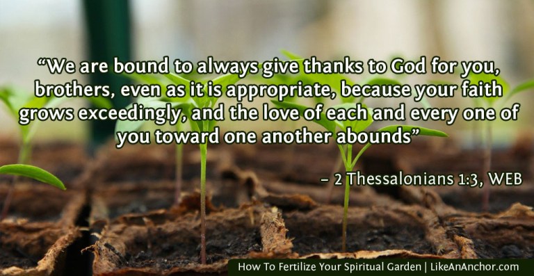 How To Fertilize Your Spiritual Garden