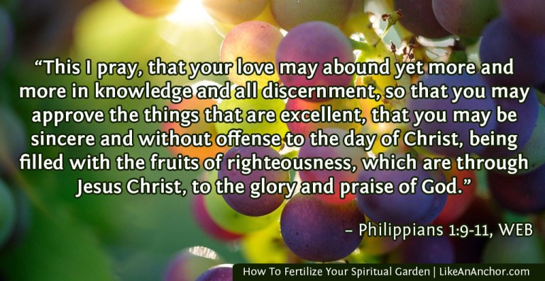 How To Fertilize Your Spiritual Garden