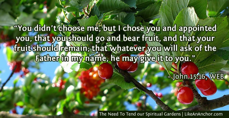 The Need To Tend our Spiritual Gardens | LikeAnAnchor.com