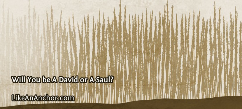 Will You be A David or A&nbsp;Saul?