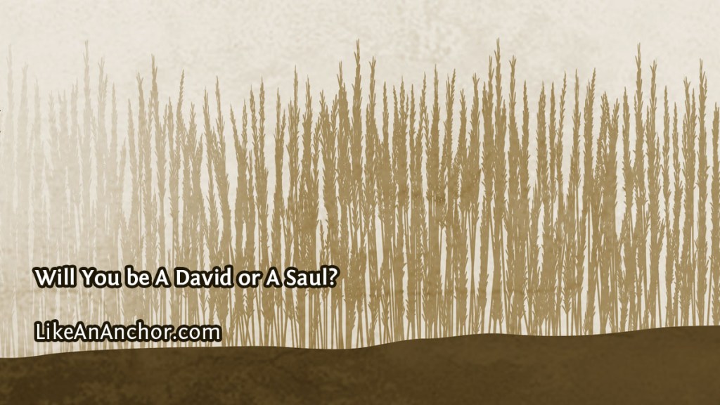 Will You be A David or A Saul? | LikeAnAnchor.com