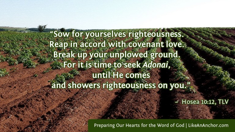 Preparing Our Hearts for the Word of God | LikeAnAnchor.com