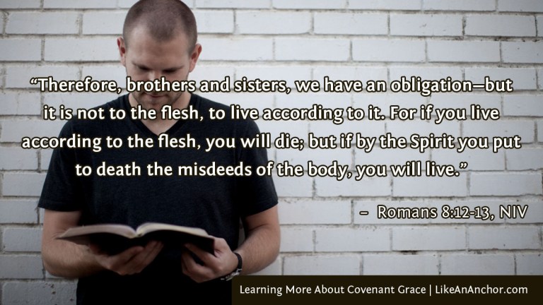 Learning More About Covenant Grace | LikeAnAnchor.com