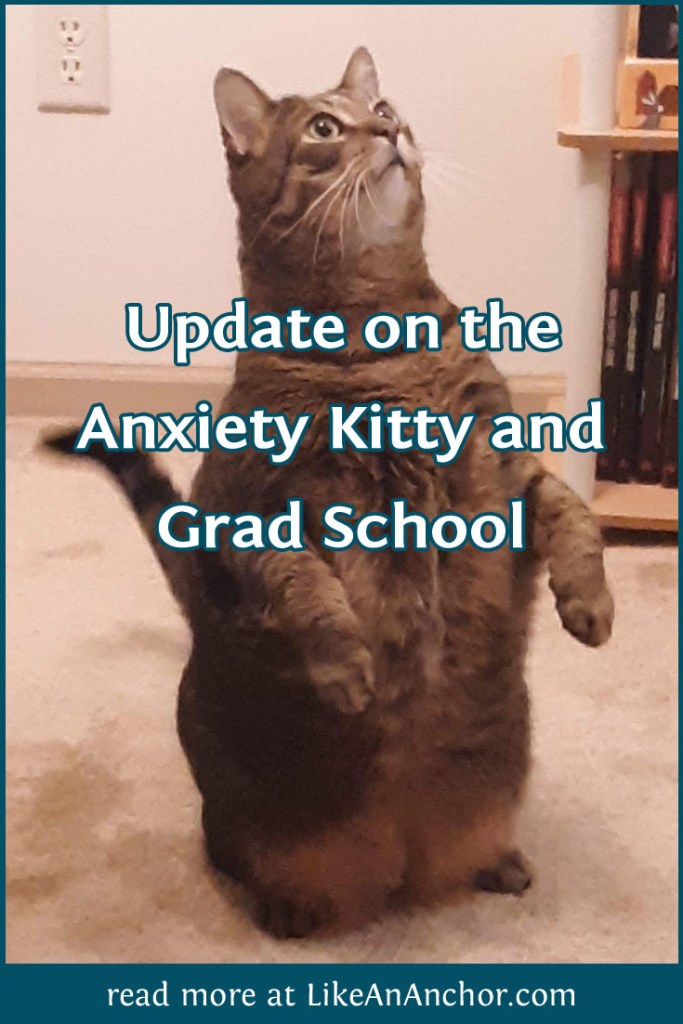Update on the Anxiety Kitty and Grad School | LikeAnAnchor.com