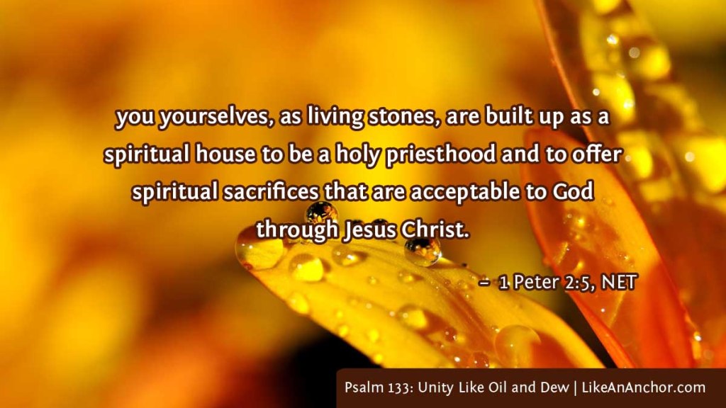 Psalm 133: Unity Like Oil and Dew | LikeAnAnchor.com