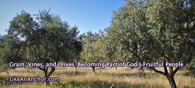 Grain, Vines, and Olives: Becoming Part of God’s Fruitful People