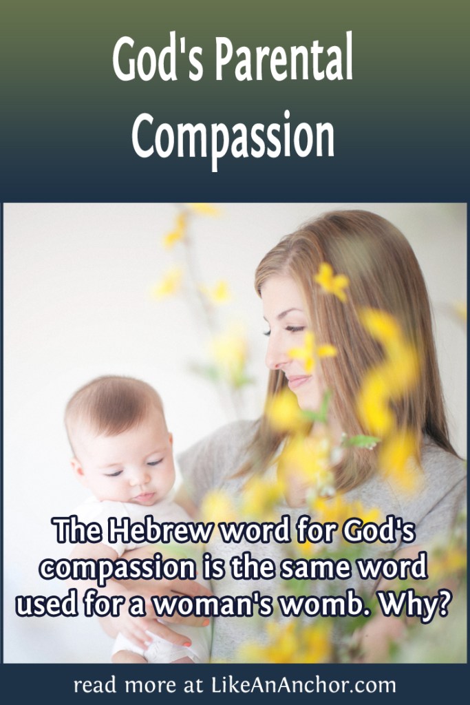 Image of a woman holding a baby with the blog's title text and the words "The Hebrew word for God's compassion is the same word used for a woman's womb. Why?"