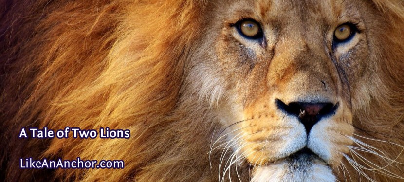 A Tale of Two&nbsp;Lions