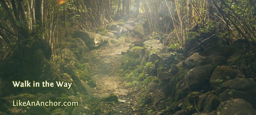 Walk in the&nbsp;Way