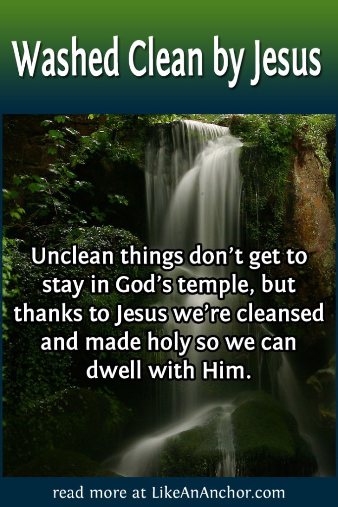 Image of a waterfall with the blog's title text and the words "Unclean things don’t get to stay in God’s temple, but thanks to Jesus we’re cleansed and made holy so we can dwell with Him."