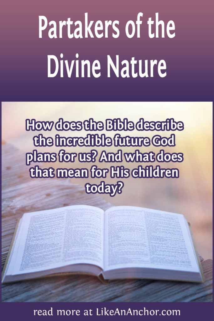 Image of an open Bible with light shining on the pages, with the blog's title text and the words "How does the Bible describe the incredible future God plans for us? and what does that mean for His children today?"