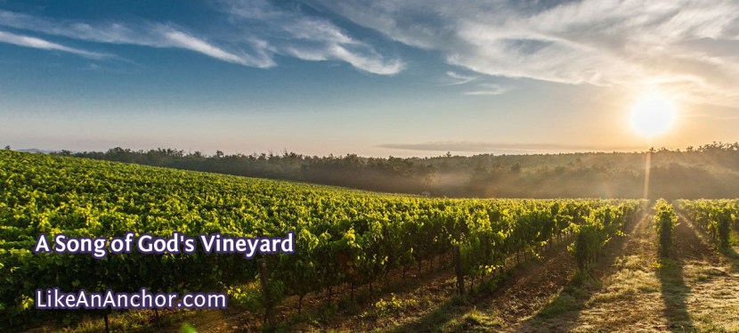 A Song of God’s Vineyard