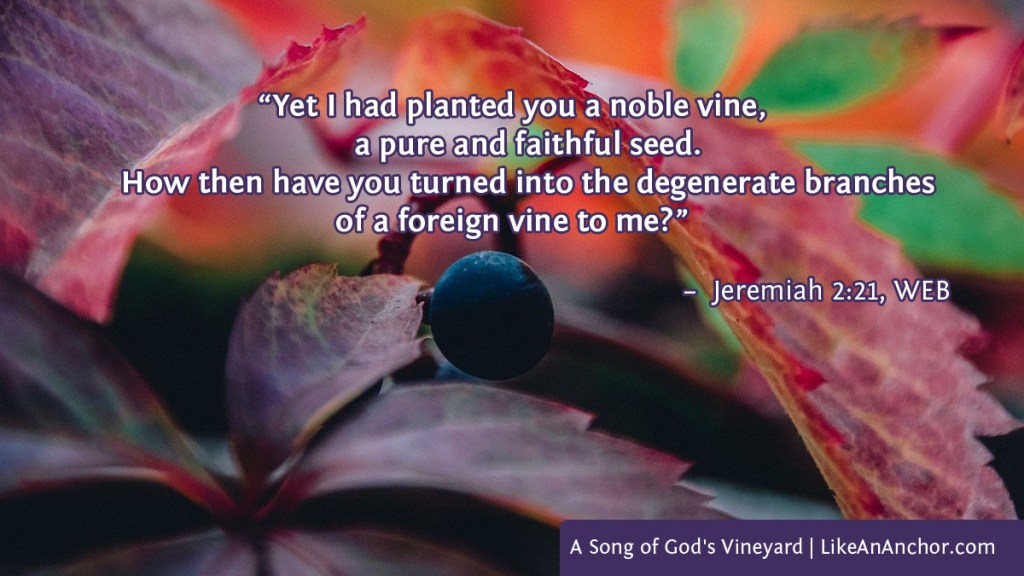 Image of one grape on a red-leafed vine, with text from Jeremiah 2:21, WEB version: “Yet I had planted you a noble vine, a pure and faithful seed. How then have you turned into the degenerate branches of a foreign vine to me?