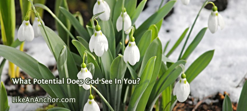 What Potential Does God See In You?