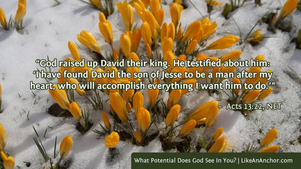 Image of yellow crocus buds in the snow, with text from Acts 13:22, NET version: “God raised up David their king. He testified about him:
‘I have found David the son of Jesse to be a man after my heart, who will accomplish everything I want him to do.’"