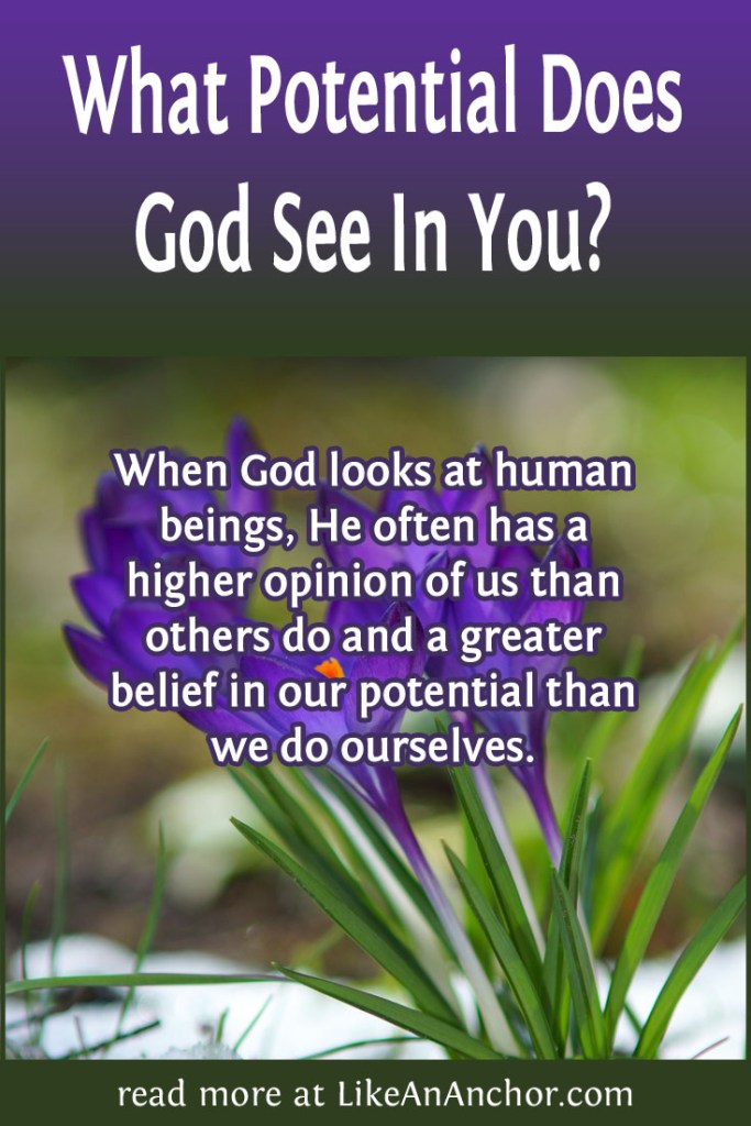 Image of purple crocuses in the snow with the blog's title text and the words "When God looks at human beings, He often has a higher opinion of us than others do and a greater belief in our potential than we do ourselves."