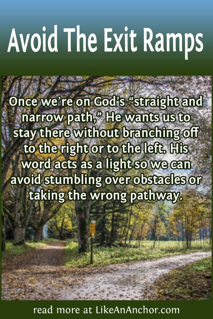 Image of a crossroads in the woods with the blog's title text and the words "Once we’re on God’s straight and narrow path, He wants us to stay there without branching off to the right or to the left. His word acts as a light so we can avoid stumbling over obstacles or taking the wrong pathway."