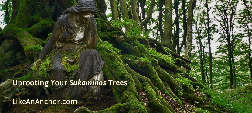 Uprooting Your Sukaminos Trees