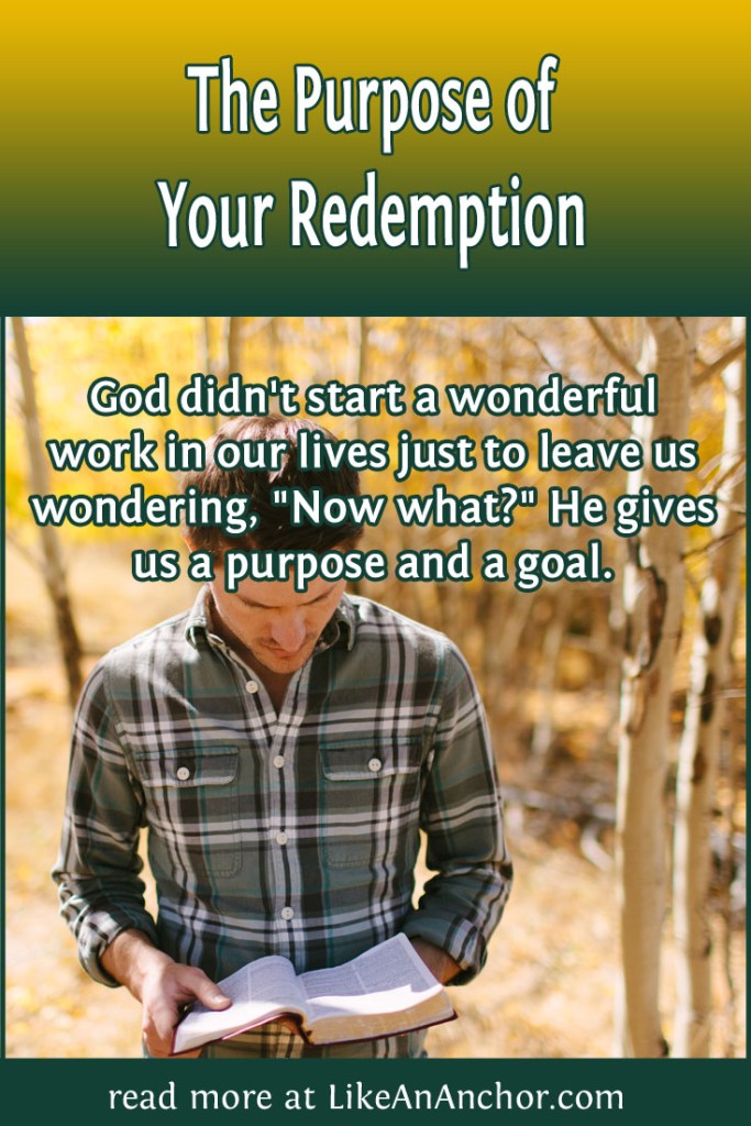 Image of a man walking in the woods reading a Bible with the blog's title text and the words "God didn't start a wonderful work in our lives just to leave us wondering, "Now what?" He gives us a purpose and a goal."