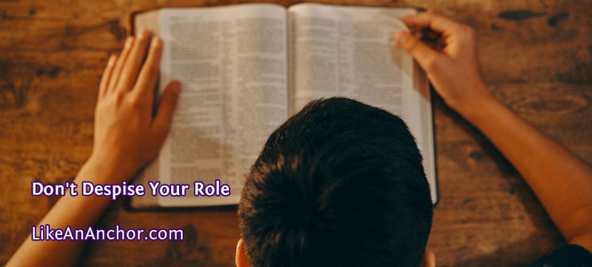 Don’t Despise Your Role