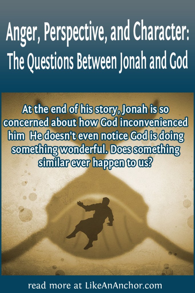 Artwork of Jonah and a whale with the blog's title text and the words "At the end of his story, Jonah is so concerned about how God inconvenienced him He doesn't even notice God is doing something wonderful. Does something similar ever happen to us?"