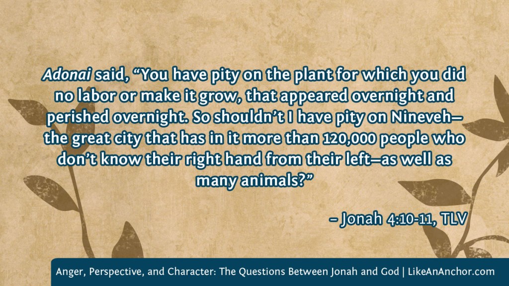 Background image of parchment paper with leaves, overlaid with text from Jonah 4:10-11, TLV version: Adonai said, “You have pity on the plant for which you did no labor or make it grow, that appeared overnight and perished overnight. So shouldn’t I have pity on Nineveh—the great city that has in it more than 120,000 people who don’t know their right hand from their left—as well as many animals?”
