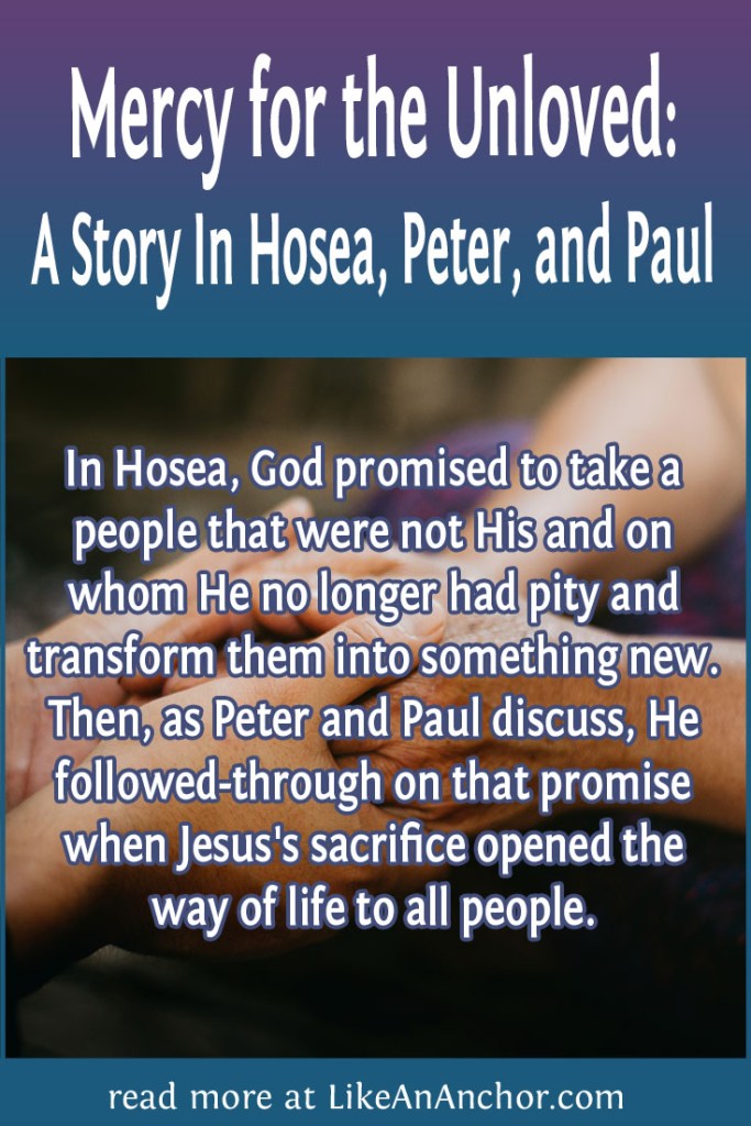 Image of two people's hands clasped together with the blog's title text and the words "In Hosea, God promised to take a people that were not His and on whom He no longer had pity and transform them into something new. Then, as Peter and Paul discuss, He followed-through on that promise when Jesus's sacrifice opened the way of life to all people."