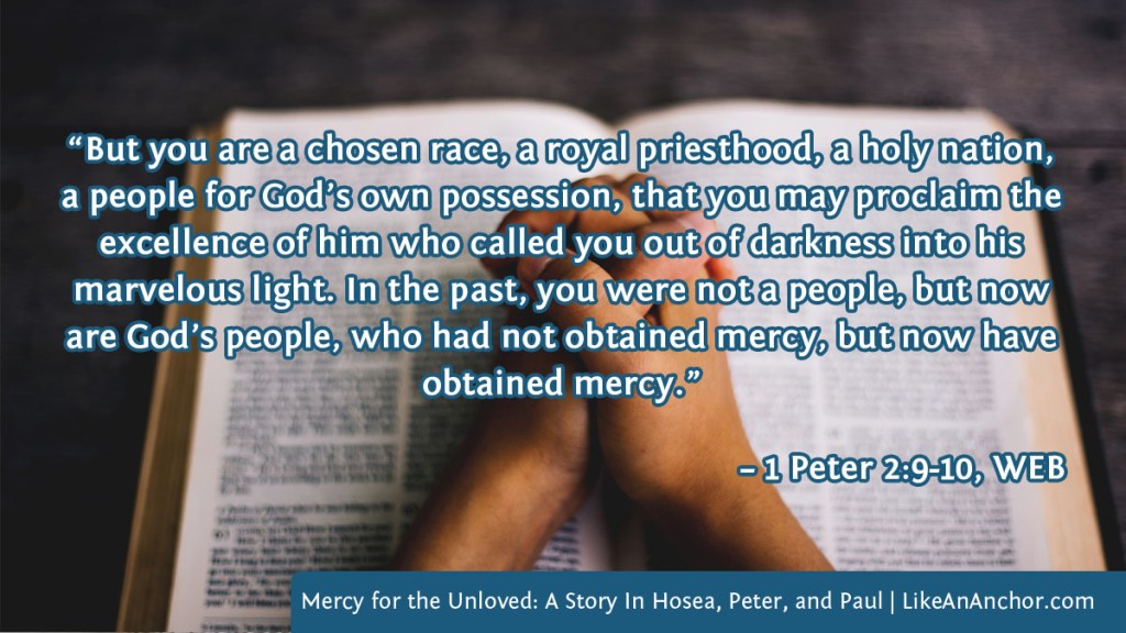 Image of hands clasped over a Bible overlaid with text from 1 Peter 2:9-10, WEB version: “But you are a chosen race, a royal priesthood, a holy nation, a people for God’s own possession, that you may proclaim the excellence of him who called you out of darkness into his marvelous light. In the past, you were not a people, but now are God’s people, who had not obtained mercy, but now have obtained mercy.”