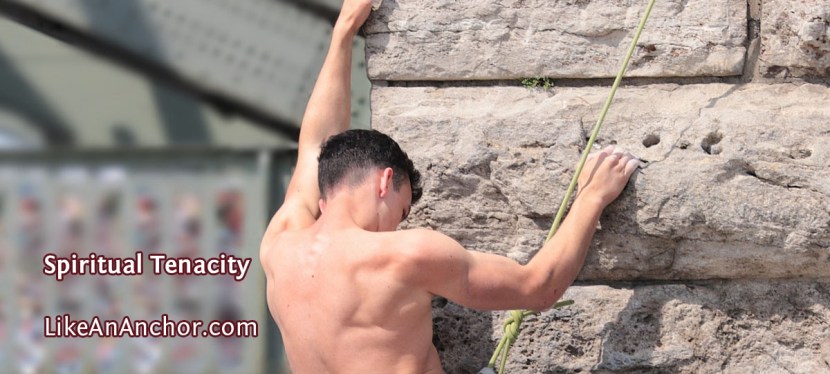 Spiritual Tenacity