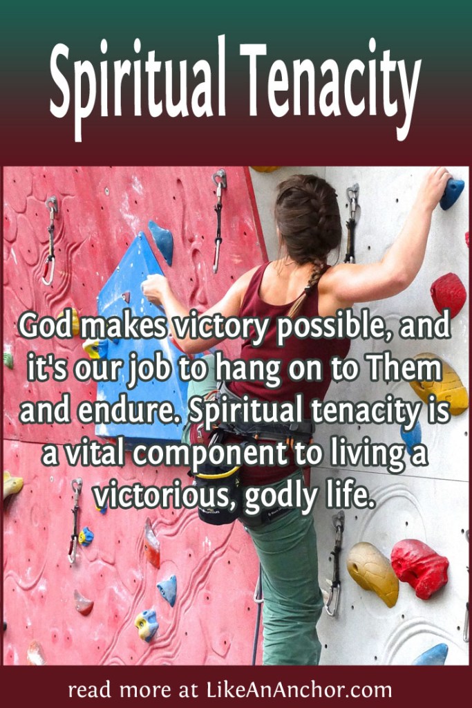 Image of a woman climbing a rock wall, overlaid with the blog's title text and the words "God makes victory possible, and it's our job to hang on to Them and endure. Spiritual tenacity is a vital component to living a victorious, godly life."