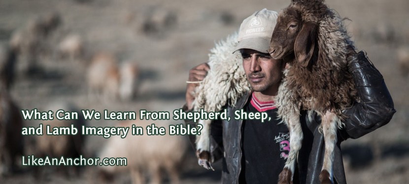 What Can We Learn From Shepherd, Sheep, and Lamb Imagery in the&nbsp;Bible?
