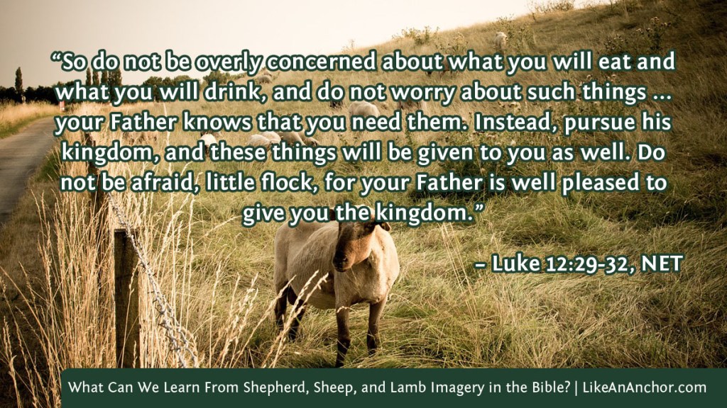 Image of sheep in a field overlaid with text from Luke 12:29-32, NET version:  “So do not be overly concerned about what you will eat and what you will drink, and do not worry about such things ... your Father knows that you need them. Instead, pursue his kingdom, and these things will be given to you as well. Do not be afraid, little flock, for your Father is well pleased to give you the kingdom.”