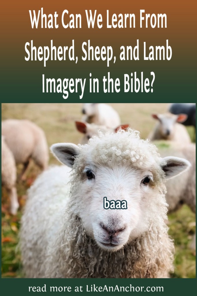 Image of a happy sheep with the blog's title text and the word "baaa" (because I'm hilarious)