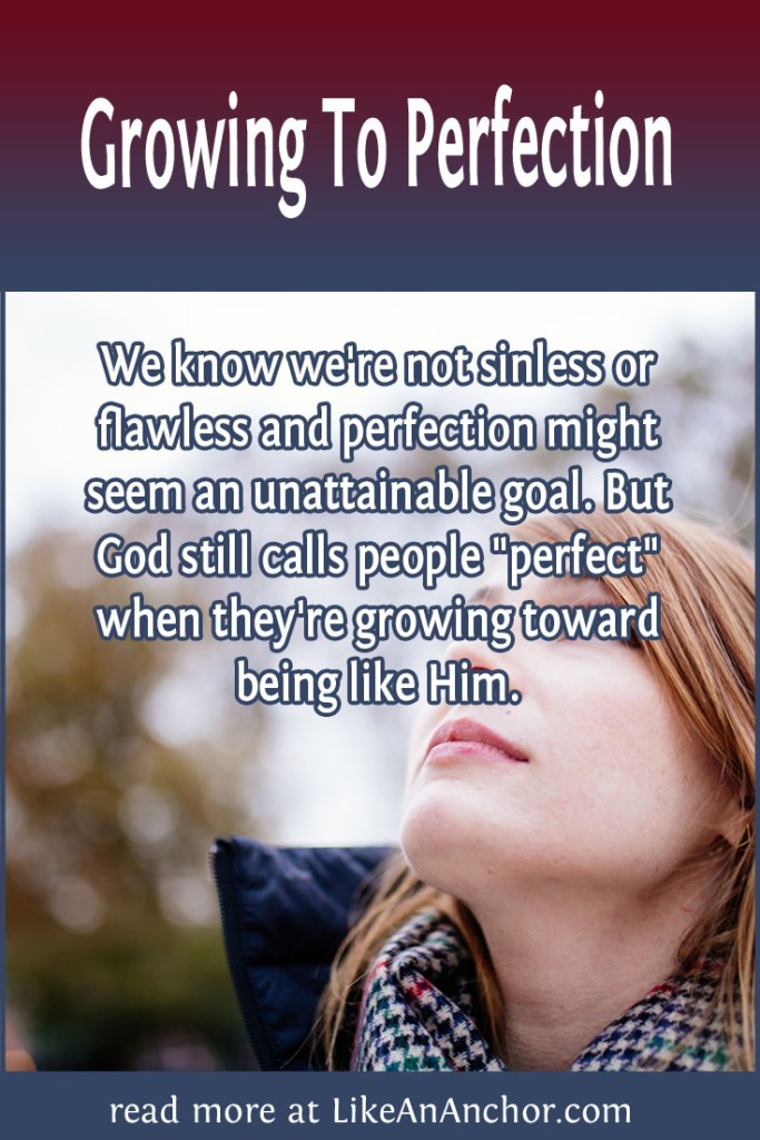 Image of a woman looking up at the sky with the blog's title text and the words "We know we're not sinless or flawless and perfection might seem an unattainable goal. But God still calls people "perfect" when they're growing toward being like Him."