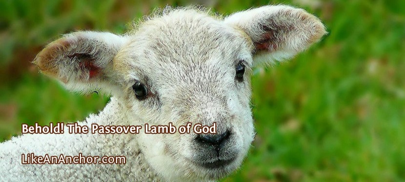 Behold! The Passover Lamb of&nbsp;God