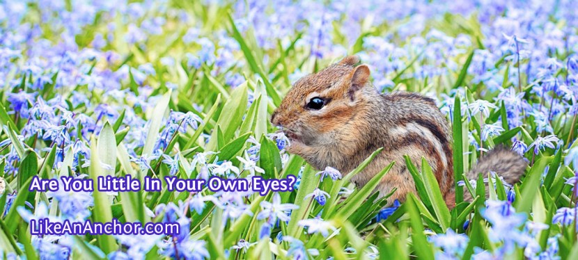Are You Little In Your Own&nbsp;Eyes?