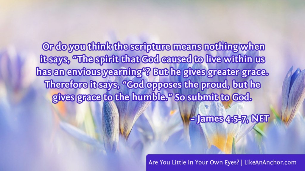 Image of purple crocuses overlaid with text from James 4:5-7, NET version: Or do you think the scripture means nothing when it says, “The spirit that God caused to live within us has an envious yearning”? But he gives greater grace. Therefore it says, “God opposes the proud, but he gives grace to the humble.” So submit to God.