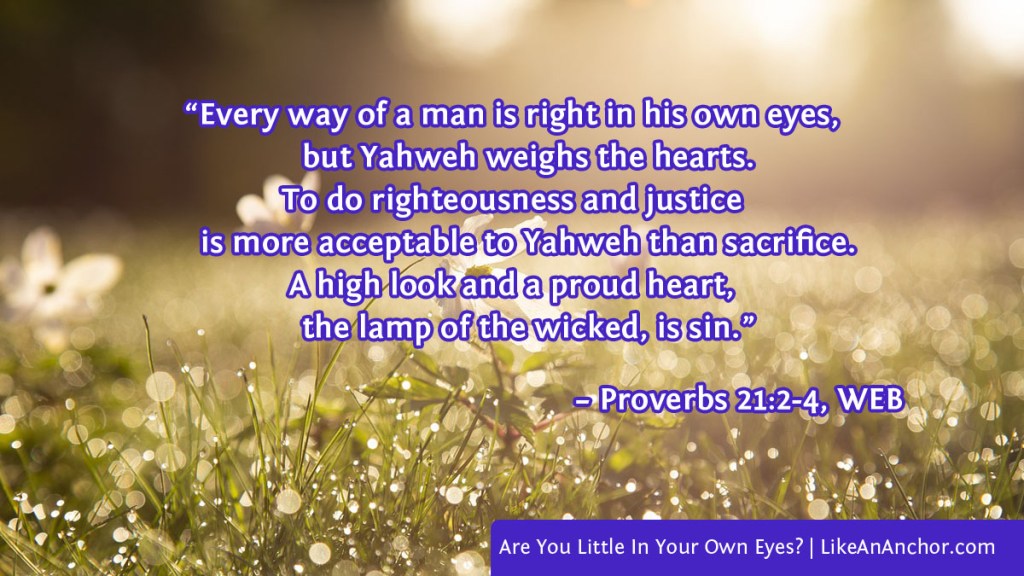 Image of spring flowers overlaid with text from Proverbs 21:2-4, WEB version: “Every way of a man is right in his own eyes, but Yahweh weighs the hearts. To do righteousness and justice is more acceptable to Yahweh than sacrifice. A high look and a proud heart, the lamp of the wicked, is sin.”