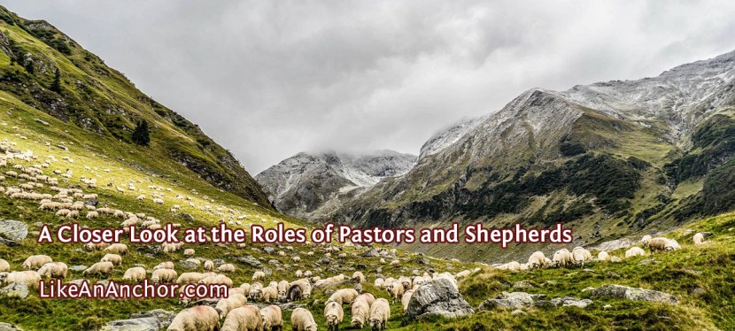 A Closer Look at the Roles of Pastors and Shepherds