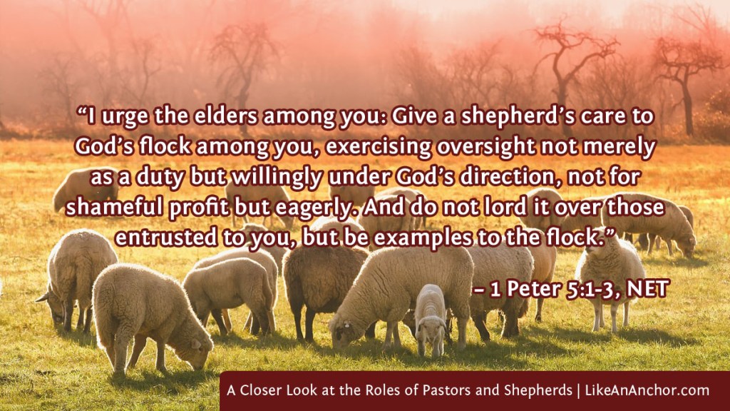 Image of sheep in a pasture overlaid with text from 1 Peter 5:1-3, NET version: “I urge the elders among you: Give a shepherd’s care to God’s flock among you, exercising oversight not merely as a duty but willingly under God’s direction, not for shameful profit but eagerly. And do not lord it over those entrusted to you, but be examples to the flock.”