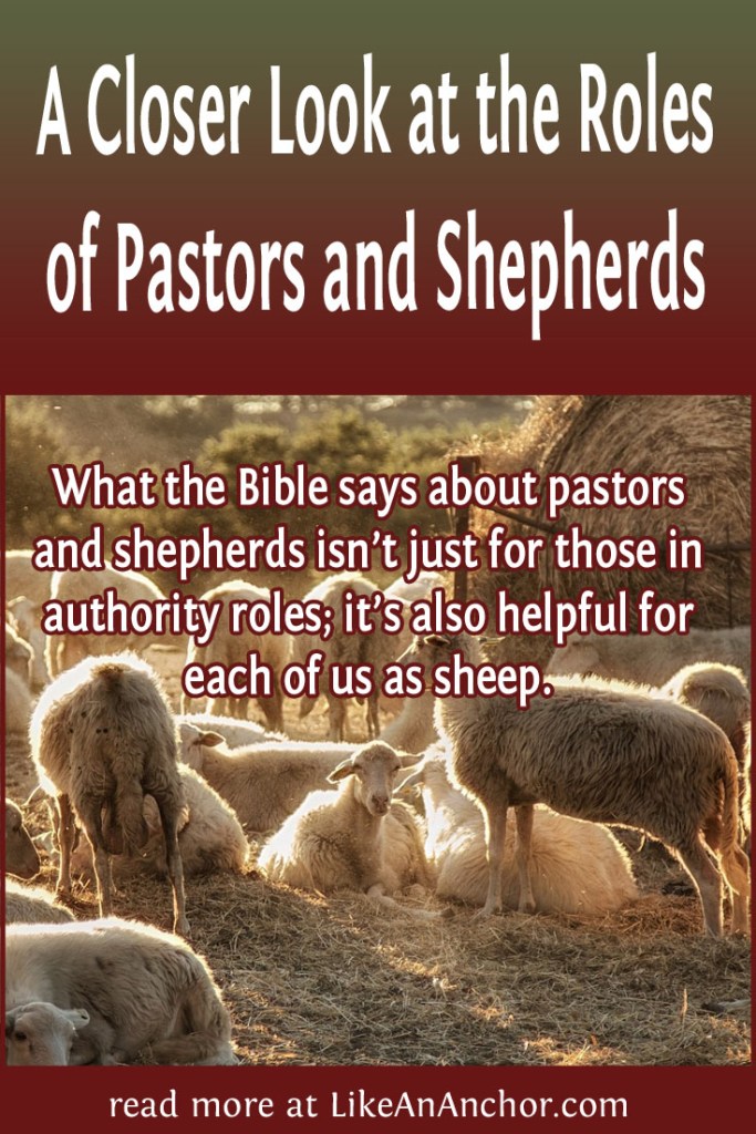Image of sheep in a field with the blog's title text and the words "What the Bible says about pastors and shepherds isn’t just for those in authority roles; it’s also helpful for each of us as sheep."