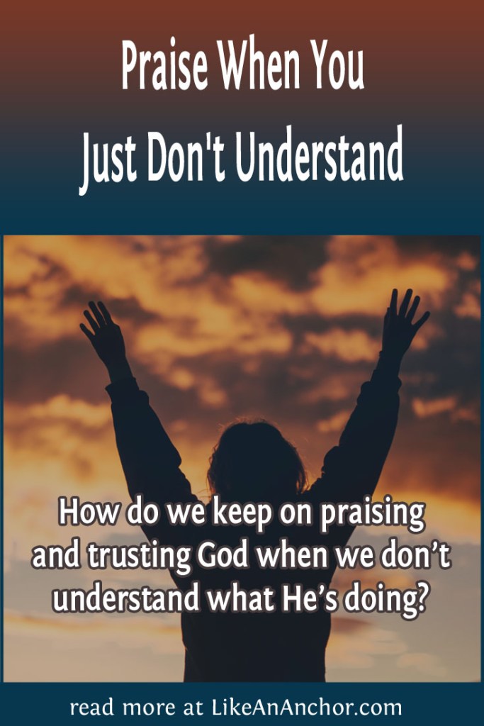 Image of a silhouetted person lifting their hands to pray with the blog's title text and the words "How do we keep on praising and trusting God when we don’t understand what He’s doing?"